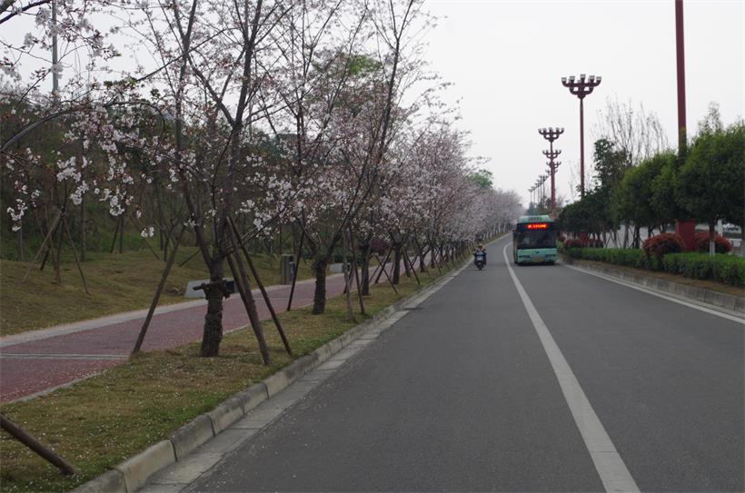 IMGP3967_愛(ài)奇藝.jpg